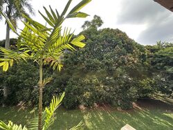 Ang Mo Kio Avenue 4 (D20), Semi-Detached #467619511
